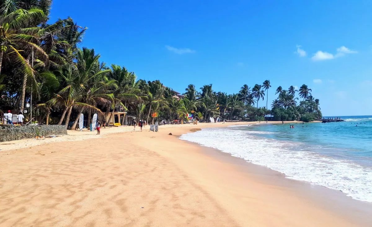 A wide palm-lined beach on Sri Lanka's south coast, with surf breaking along the sand under a clear sky